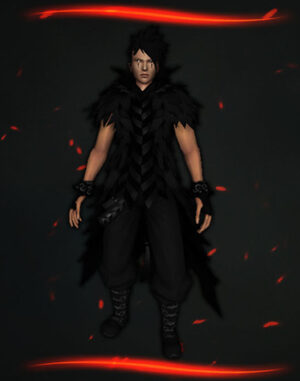 Personalizate metin2 - ImRevii Assassin